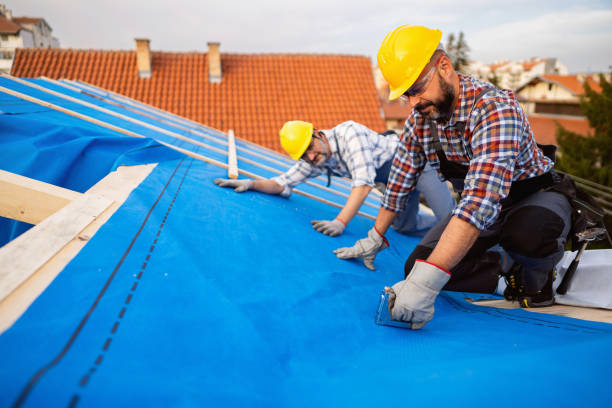 Best Flat Roof Repair Services  in Allardt, TN