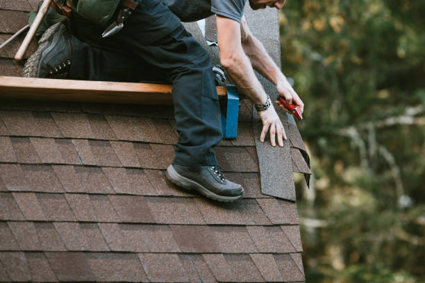 Best Roof Repair Services  in Allardt, TN
